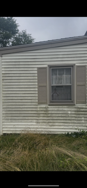 House vinyl siding before cleaning Westerly RI - heavily stained with algae and environmental discoloration