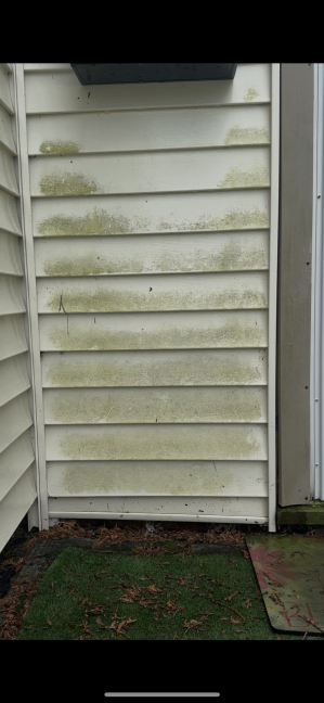 House vinyl siding before cleaning Westerly RI - green algae growth and environmental staining on white siding